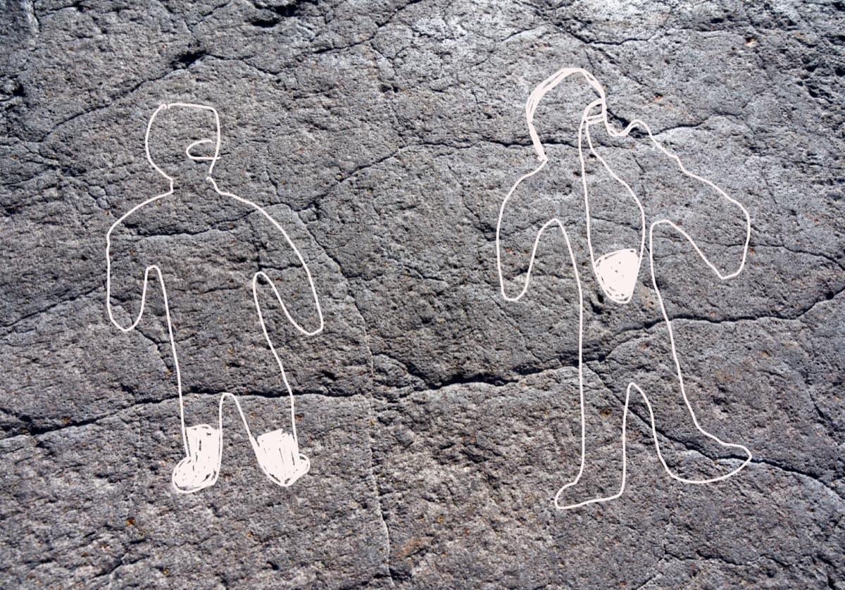 The two competing models — one where food falls to the bottom of the body, and one where food collects in a sac